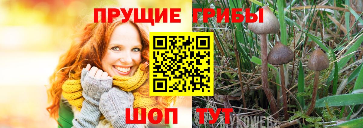 Галлюциногенные грибы ЛСД  Галлюциногенные грибы Psilocybe  Железноводск  Вход с VPN 